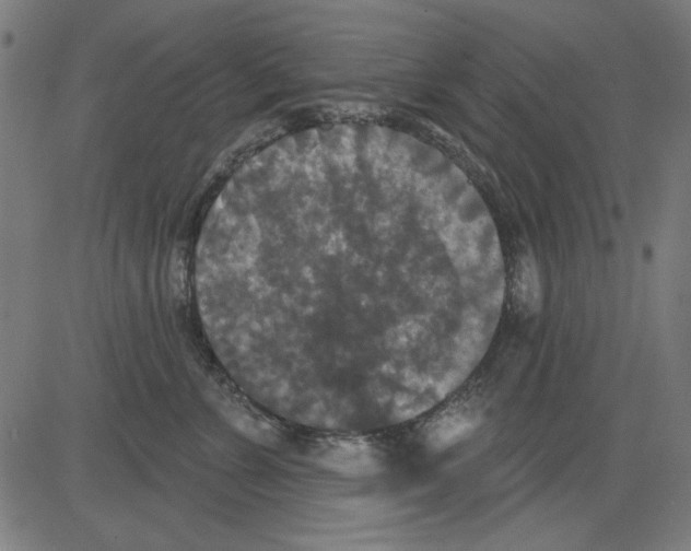 X0000081460715200702092315