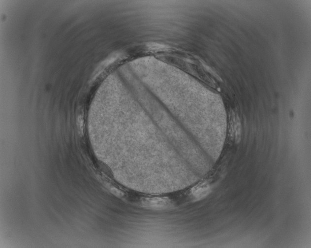 X0000081460716200702092315