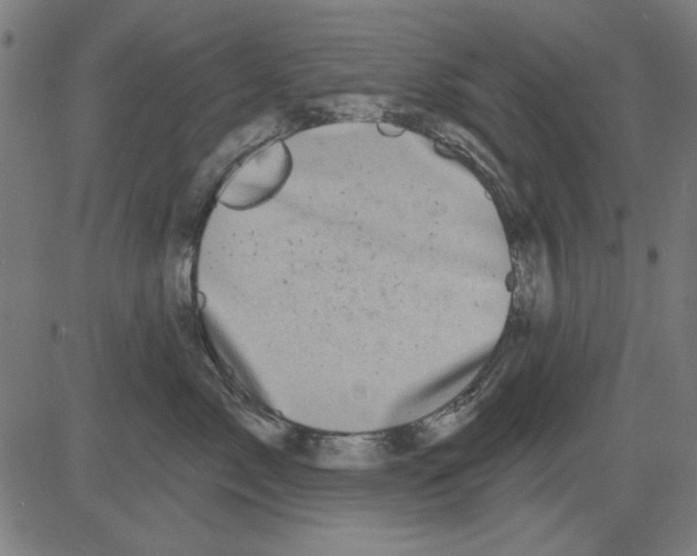 X0000081460717200702092315