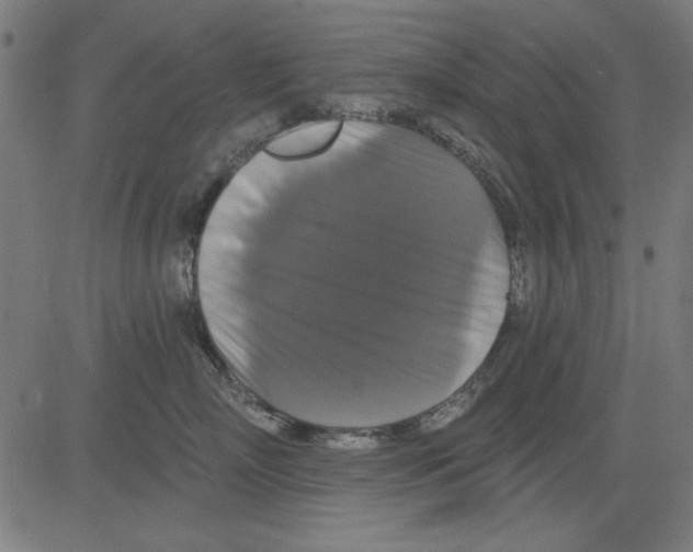 X0000081460718200702092315