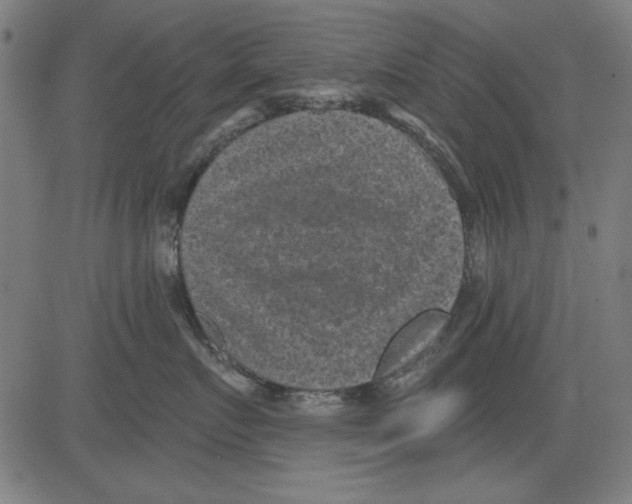 X0000081460719200702092315