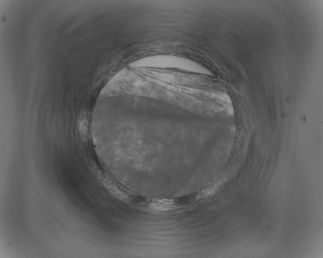 X0000081460720200702092315