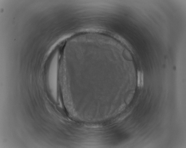 X0000081460723200702092314