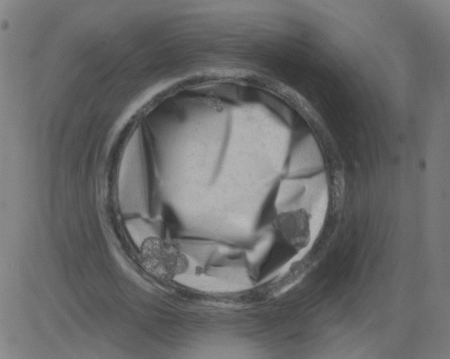 X0000081460726200702092314
