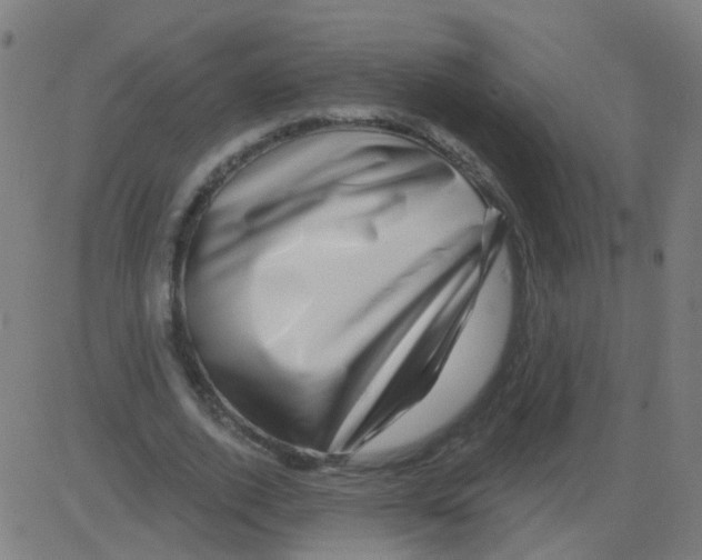 X0000081460728200702092314