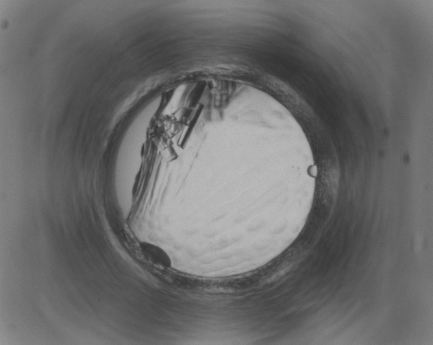 X0000081460734200702092314