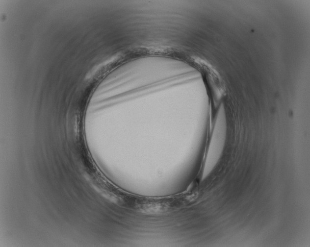 X0000081460740200702092314