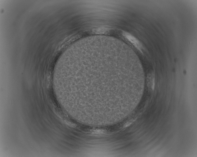 X0000081460741200702092314