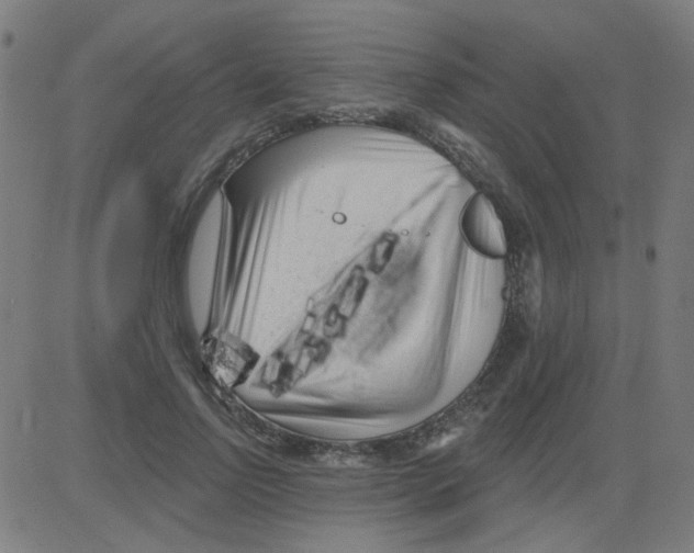X0000081460742200702092314