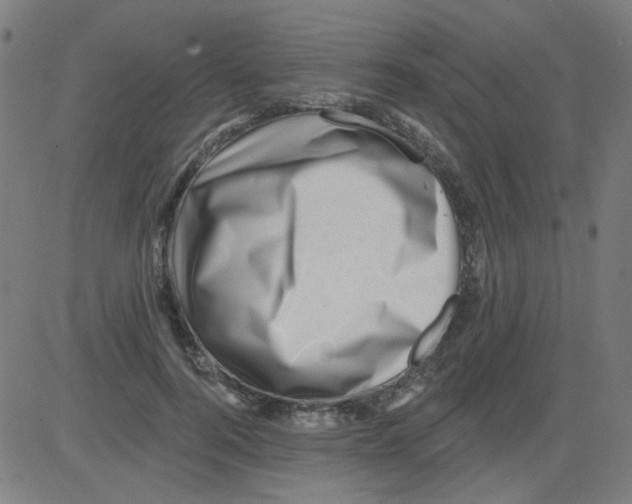X0000081460744200702092314