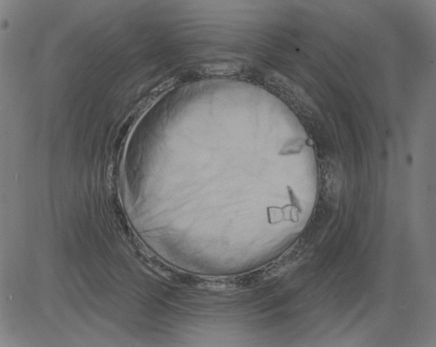 X0000081460745200702092314