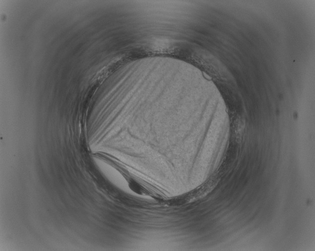 X0000081460746200702092314