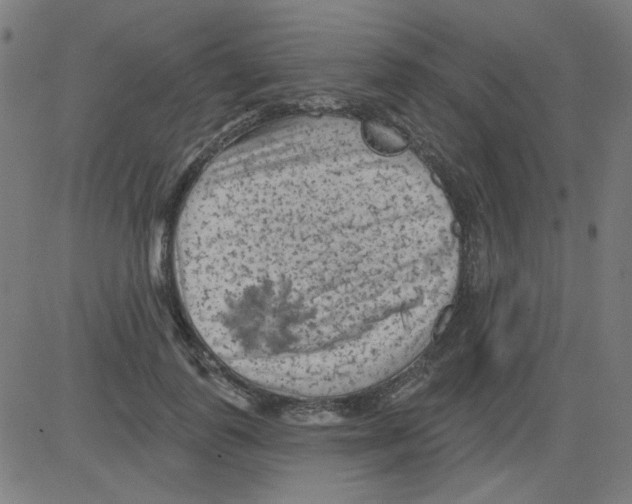 X0000081460747200702092314