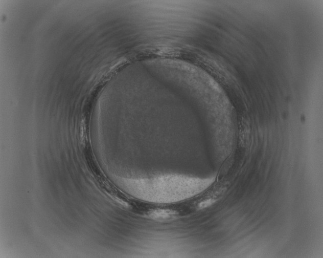 X0000081460748200702092314