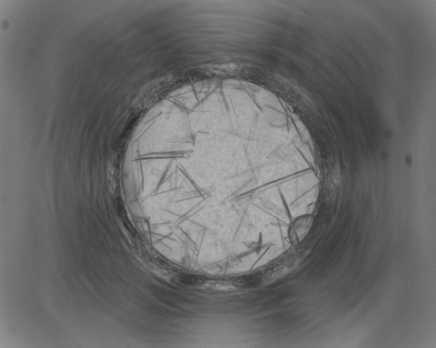 X0000081460749200702092314