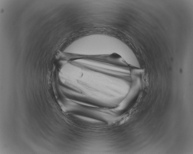 X0000081460750200702092314