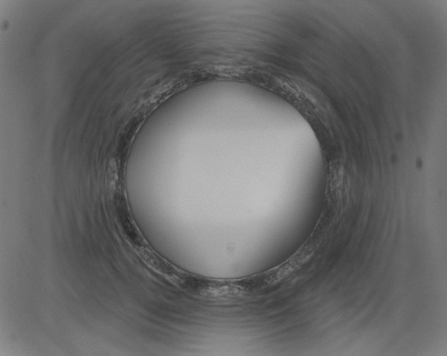 X0000081460752200702092314