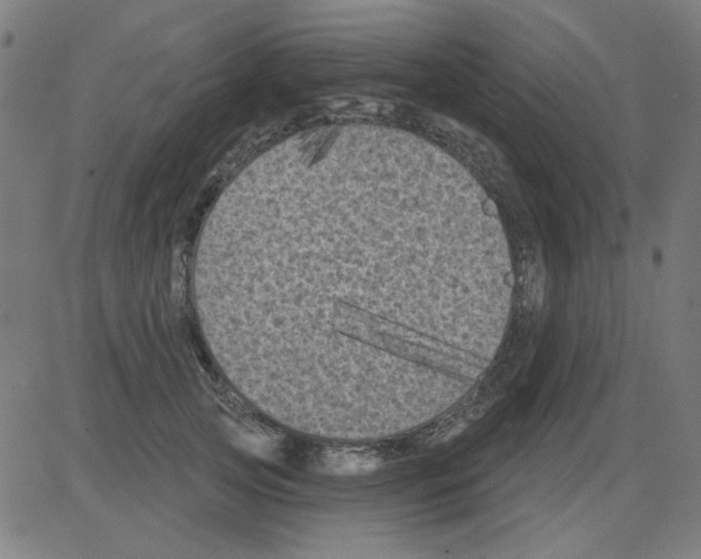 X0000081460753200702092314