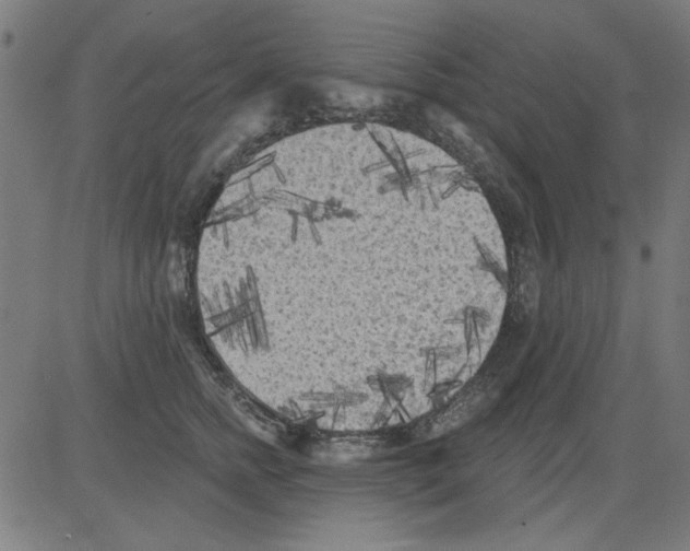 X0000081460758200702092314