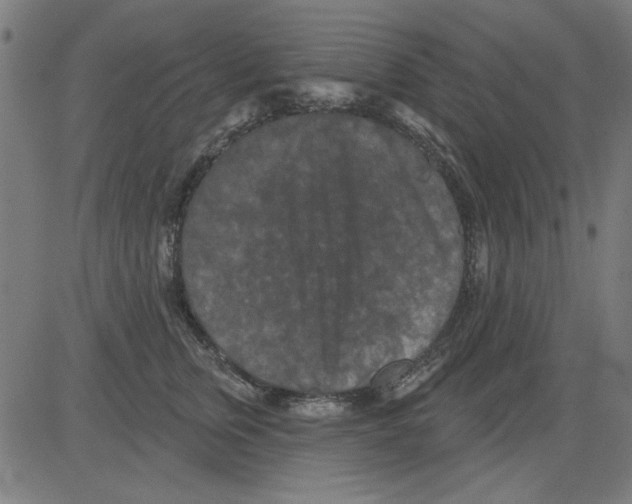 X0000081460759200702092314