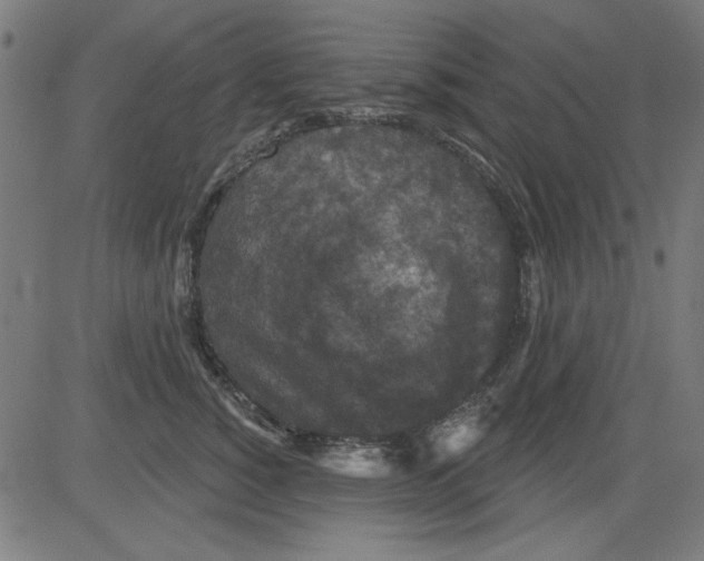 X0000081460760200702092315