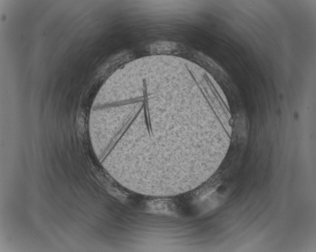 X0000081460761200702092315