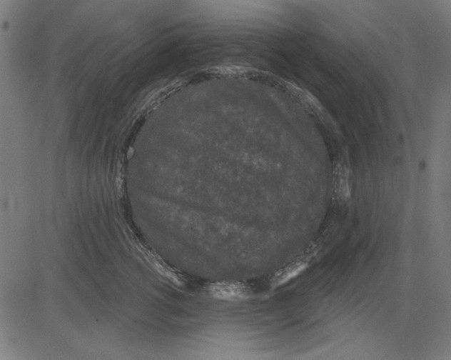 X0000081460762200702092315