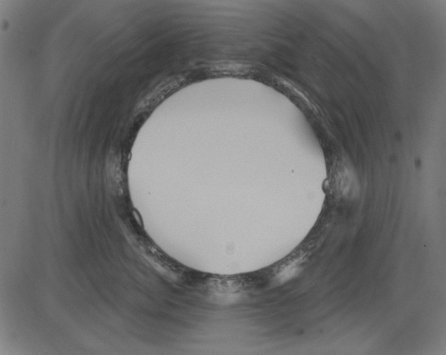 X0000081460764200702092315