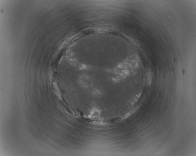 X0000081460766200702092315