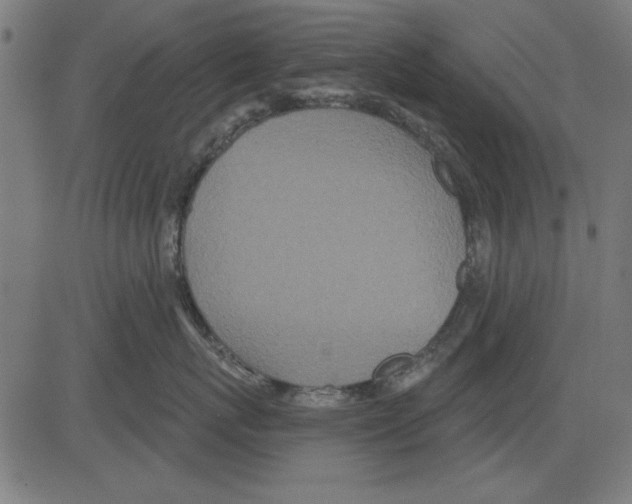 X0000081460767200702092315