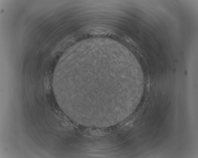 X0000081460774200702092314