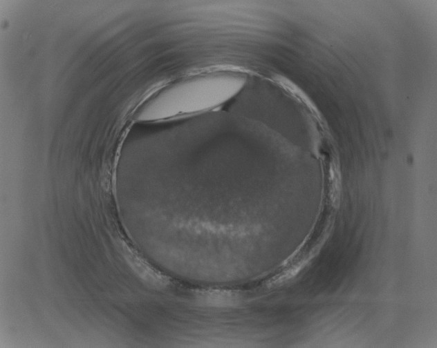 X0000081460785200702092314