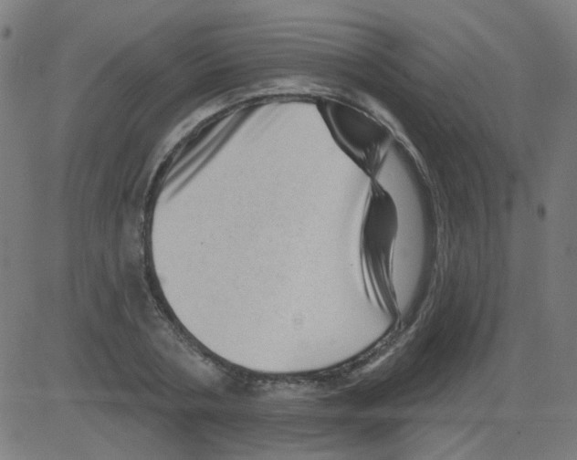 X0000081460786200702092314