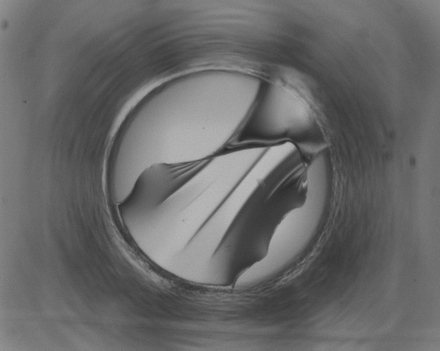 X0000081460788200702092314