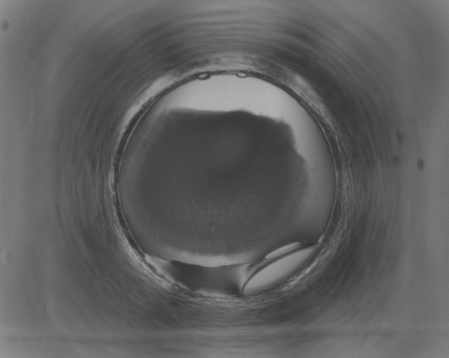 X0000081460797200702092313