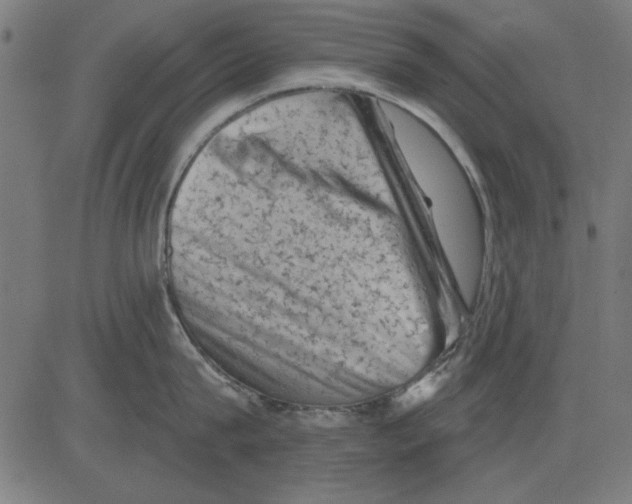 X0000081460815200702092313