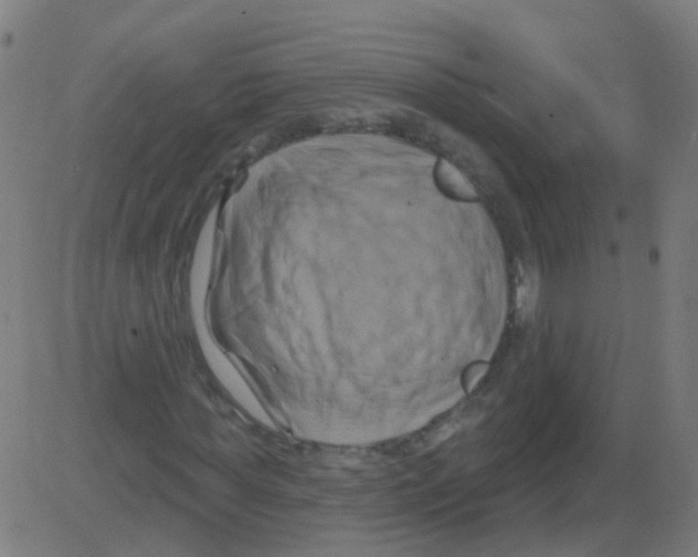 X0000081460819200702092312