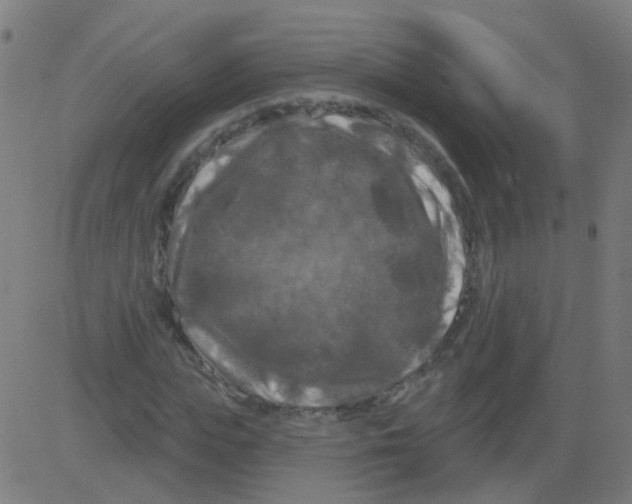 X0000081460823200702092312