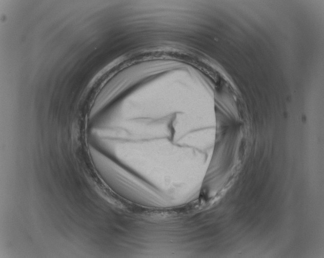 X0000081460826200702092312