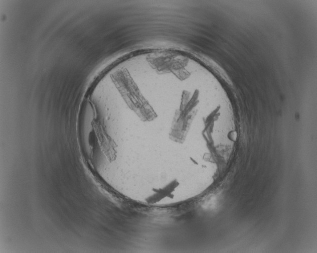 X0000081460839200702092313