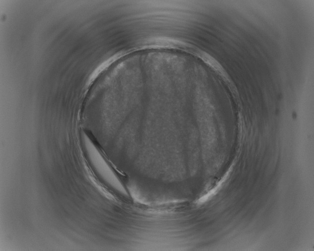 X0000081460842200702092313