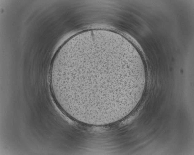 X0000081460847200702092313