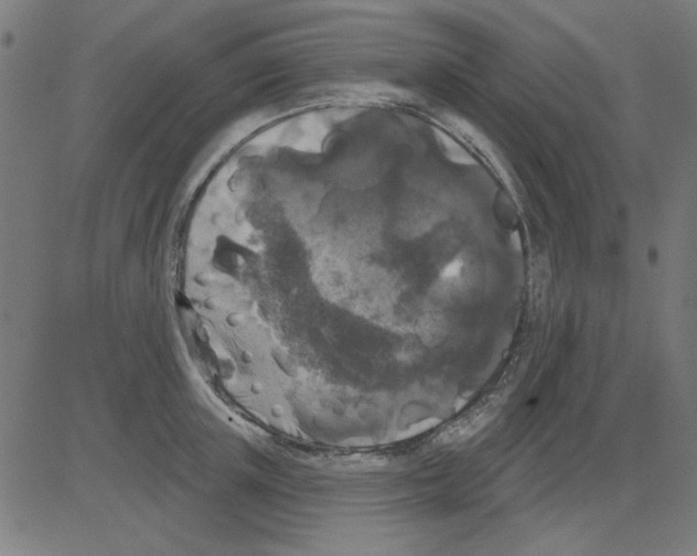 X0000081460851200702092313