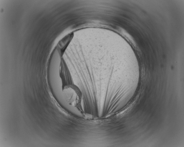 X0000081460854200702092313