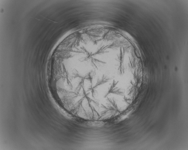 X0000081460859200702092313