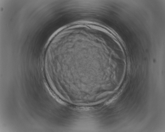 X0000081460862200702092313