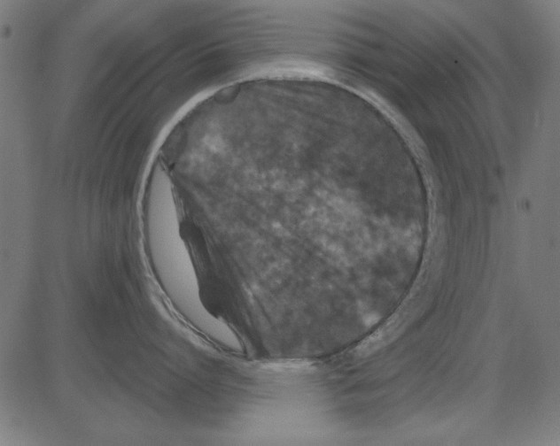 X0000081460864200702092313