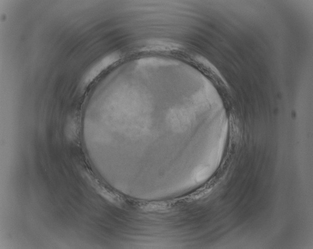X0000081460874200702092312