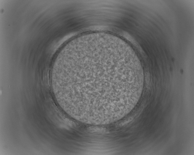 X0000081460886200702092312
