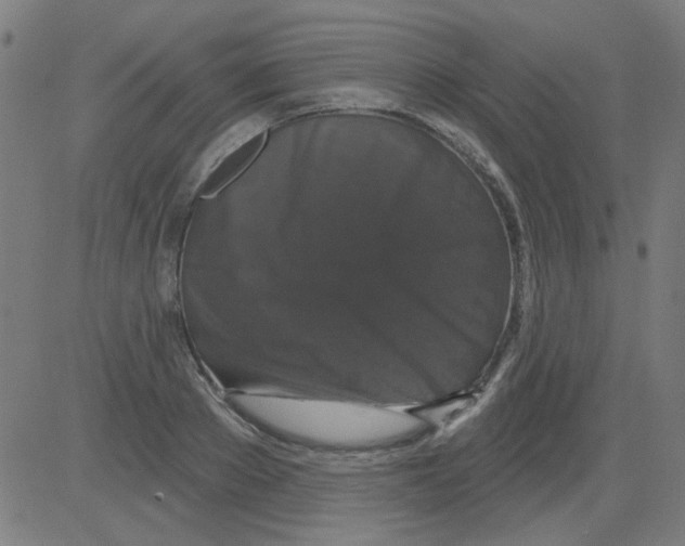 X0000081460889200702092312